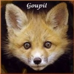 Goupil