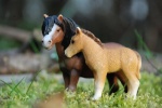 Miss-schleich