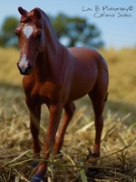 California Schleich