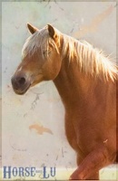 Horse - Lu