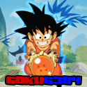 goku6384