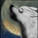 Spirit