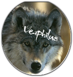 Veaphilus