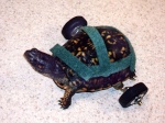 turtlesaur