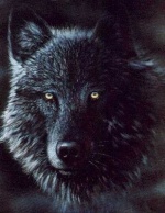 Blackwolf59