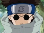 shino aburame