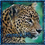 mimik35