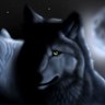 loup noir