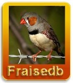 fraisedb