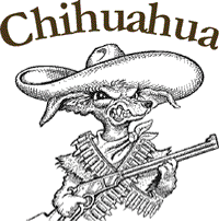 chihuahua