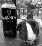 Guinness