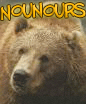 Nounours