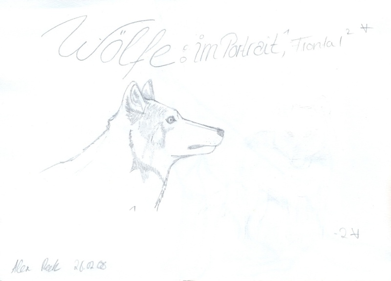 wolf