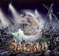 Seizan