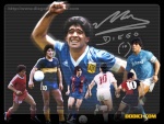 le roi maradona