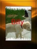 billy