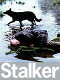 stalker1971