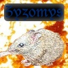 Zyzomys