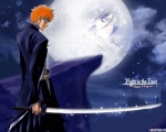 Ichigo Kurosaki