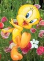 Tweety10