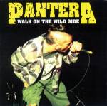 Pantera