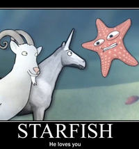 Jojo_Starfish