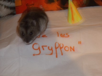 Gryffondor