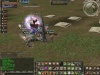 Lineage 2 Enmasivo Raid_b10