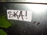 ska_31