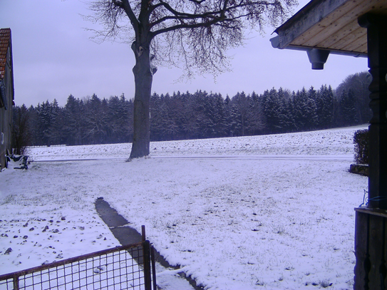 Winterlandschaft