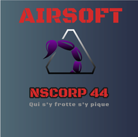 Nscorp44