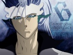 Grimmjow-espada-6