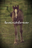 loveirishforever