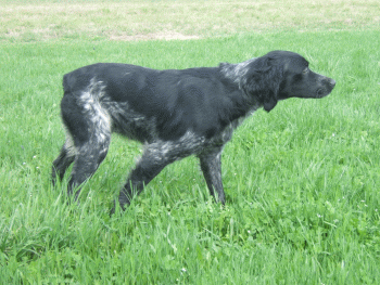 Val de La Team Roquette