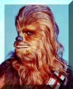 Nobacca