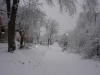 snijeg u Donjem Višnjiku