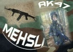 mehsli45