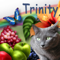 trinity39