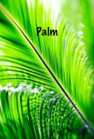 Palm-