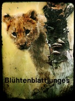 Blühtenblattjunges