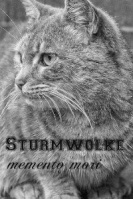 Sturmwolke