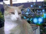 Rusty-cat