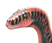 Nestorsaurus [GC]