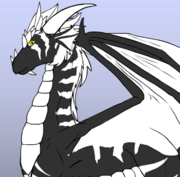 BlackWhite Dragón