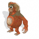 Orangutan_15