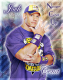 joch cena