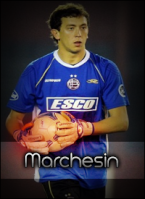 Marchesin