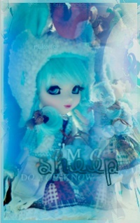 OrangePullip