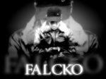 Mr-Falcko