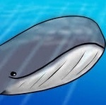 SuperBaleine